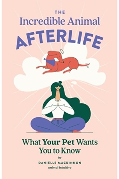 INDEPENDENT CAT Incredibila viață de apoi a animalelor: Ce vrea animalul tău ...