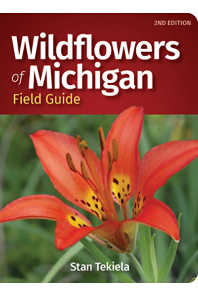 Adventurekeen Ghid de teren pentru flori sălbatice din Michigan