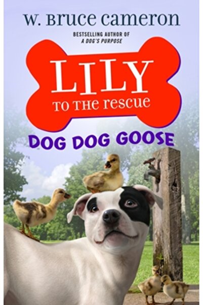 Starscape Lily la salvare: Câinele Gâsca Câinelui