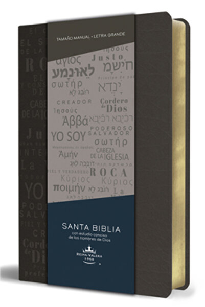 ORİGEN Biblia Rvr 1960 Letra Grande Tama