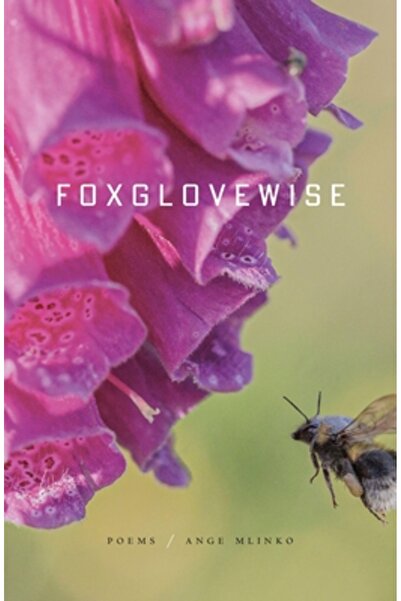 Farrar Strauss & Giroux Digitală: Poezii