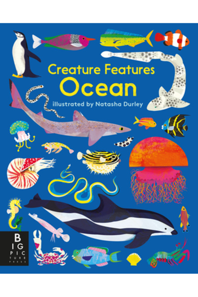 Big Picture Pr Caracteristici ale creaturii: Ocean