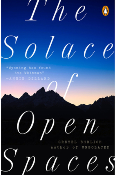 Penguin Books Consolarea spațiilor deschise