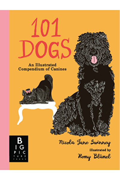 Big Picture Pr 101 câini: Un compendiu ilustrat de canini
