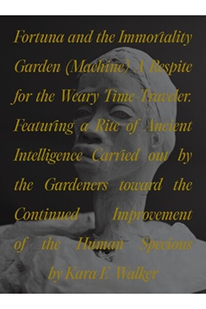 Princeton Univ Pr Fortuna și Grădina Nemuririi (Mașină): Un răgaz pentru călătorul în timp obosit. Cu participarea unui Rit