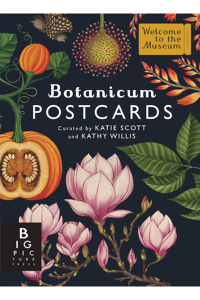 Big Picture Pr Set cutie cu cărți poștale Botanicum