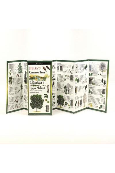 Univ Of Pennsylvania Pr Copacii lui Sibley despre trasee și păduri din nord-e...