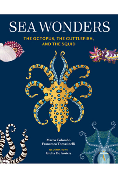 Princeton Architectural Pr Minunile mării: Caracatița, Sepia și Calamarul