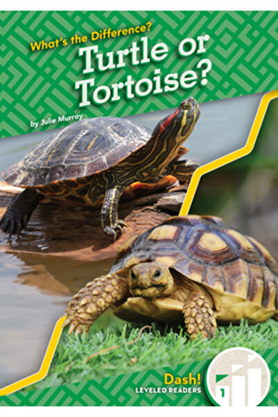 Dash Țestoasă sau țestoasă?