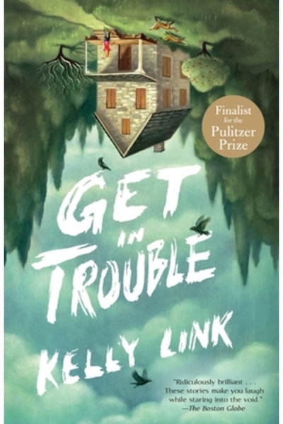 Columbia Univ Pr Intră în bucluc: Povești