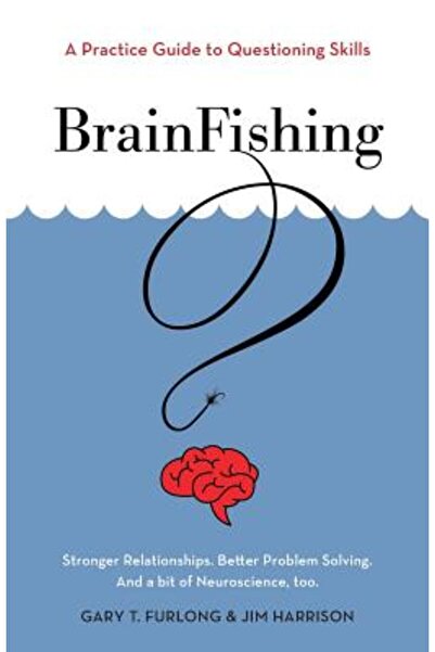 Friesenpr Brainfishing: Un ghid practic pentru abilitățile de a pune întrebări