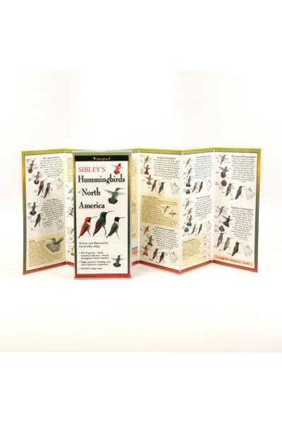 Univ Of Pennsylvania Pr Colibrii lui Sibley din America de Nord
