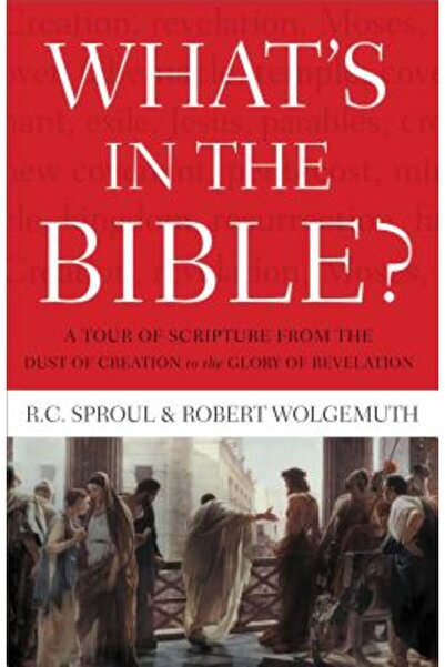 Nelsonword Pub Group Ce se află în Biblie: Un tur al Scripturii de la praful ...