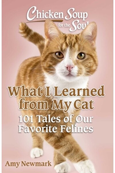 Chicken Soup for the Soul Ce am învățat de la pisica mea