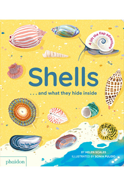 Phaidon Pr Inc Scoici... și ce ascund înăuntru: O aventură cu ridicarea clapetei