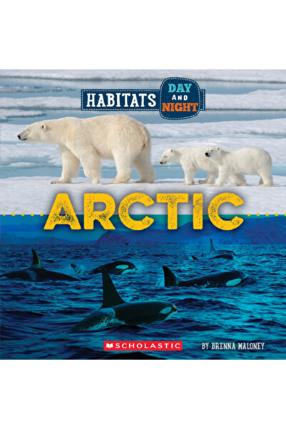 Childrens Pr Arctica (Lumea sălbatică: Habitate zi și noapte)