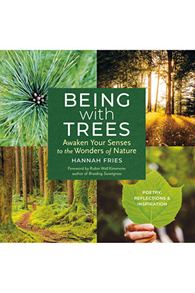 Storey Pub În compania copacilor: Trezește-ți simțurile la minunile naturii; ...