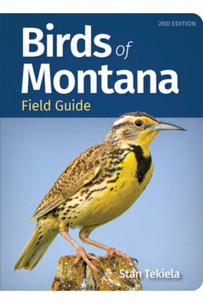 Adventurekeen Ghid de teren pentru păsările din Montana