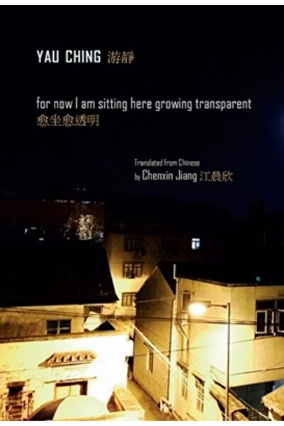 Zephyr Press Deocamdată stau aici, devenind transparent