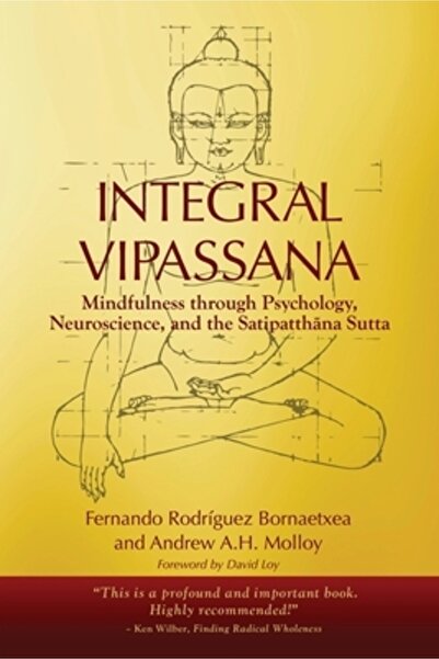 Highpoint Life Vipassana Integrală: Mindfulness prin Psihologie, Neuroștiință...