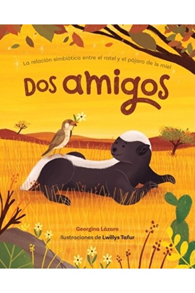 VISTA DOS Amigos: La Relaci