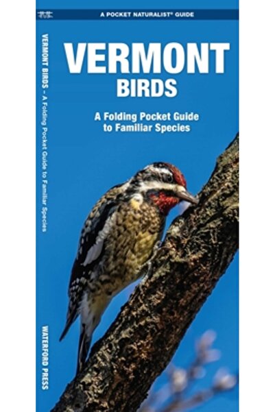 Waterford Press Păsările din Vermont: O introducere în speciile familiare