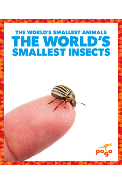 POGO Cele mai mici insecte din lume