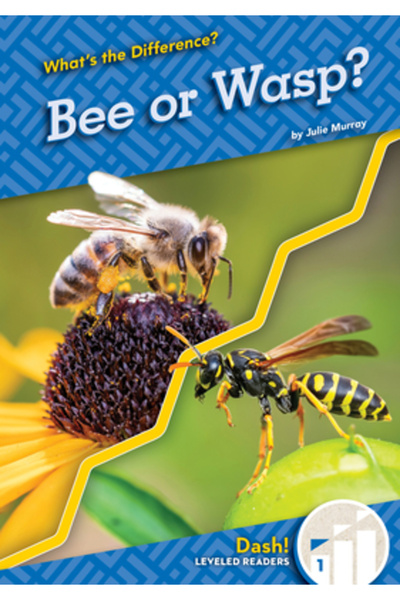 Dash Albină sau Viespe?