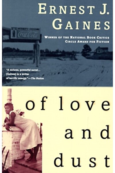 Vintage Books USA De iubire și praf