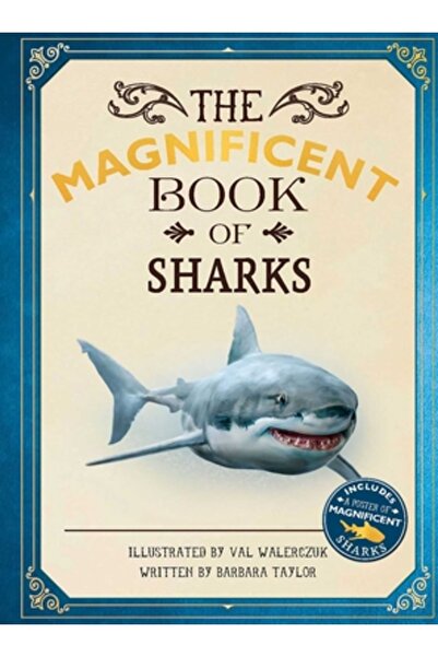 Silver Dolphin Books Magnifica Carte a Rechinilor