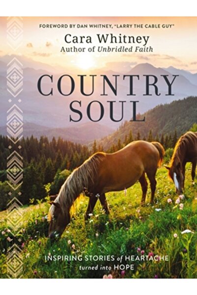 Thomas Nelson Pub Suflet la țară: Povești inspiratoare despre durerea de inim...