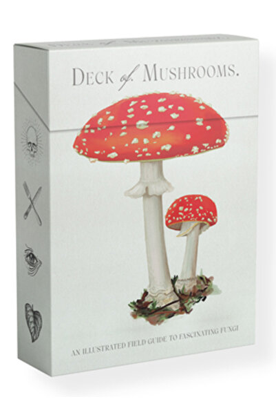 Smith Street Books Pachetul de ciuperci: Un ghid ilustrat de teren pentru ciu...