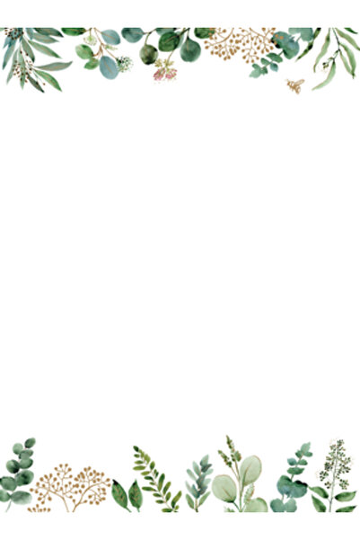 Peter Pauper Papetărie în cutie cu eucalipt [cu plic]