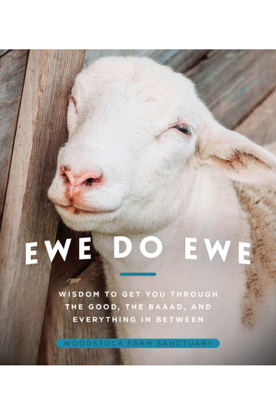 Apollo Publ Llc Ewe Do Ewe: Înțelepciune care te va ajuta să treci prin bine,...