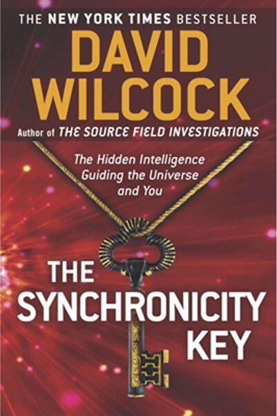 plume Cheia Sincronicității: Inteligența Ascunsă care te ghidează pe tine și ...