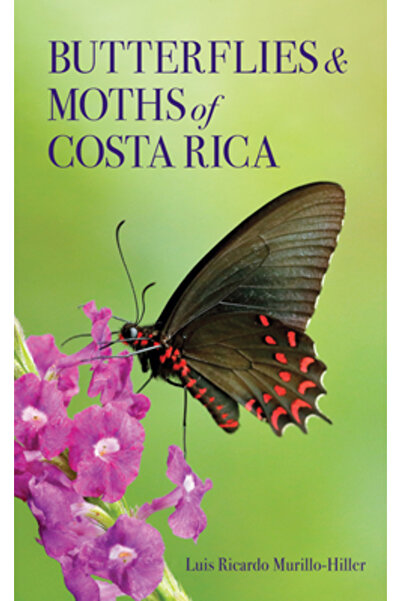 Comstock Pub Fluturi și molii din Costa Rica