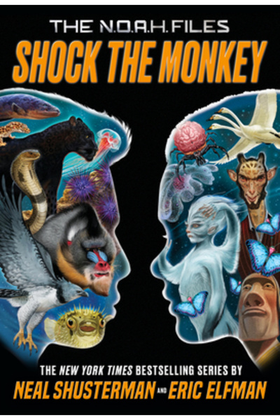 Little Brown Books For Young R Șocă maimuța