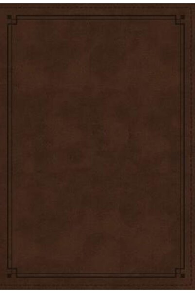 Thomas Nelson Pub Biblia de studiu NKJV, imitație de piele, maro, ediție cu l...