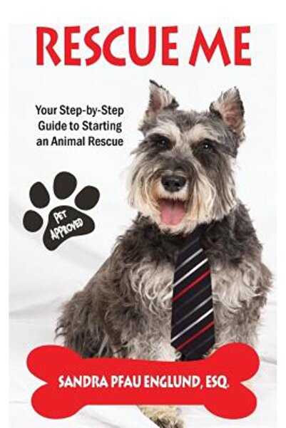 INDEPENDENT CAT Salvați-mă: Ghidul dumneavoastră pas cu pas pentru a începe o...