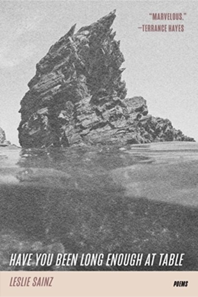 Tin House Books Ai stat suficient de mult la masă?