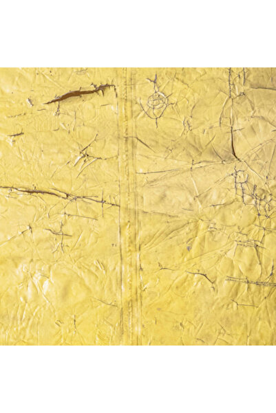 Hauser & Wirth Publ David Hammons