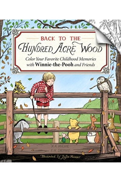 Castle Point Înapoi la Pădurea celor o Sută de Acri: Colorează-ți amintirile ...