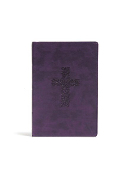 Holman Bibles Biblia de studiu KJV Rainbow, textură mov cu text din piele