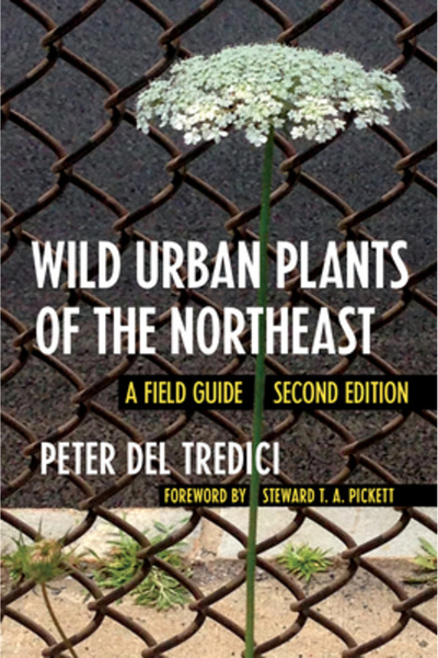 Comstock Pub Plante urbane sălbatice din nord-est: un ghid de teren