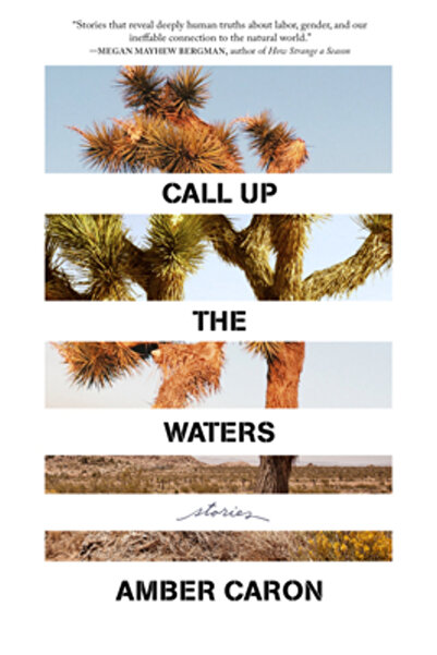 Milkweed Ed Comportamentul persoanelor pierdute: Povești