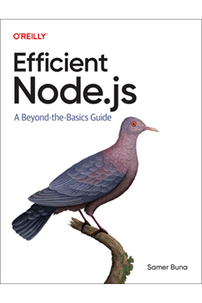 OReilly Media Node.Js eficient: un ghid dincolo de elementele de bază