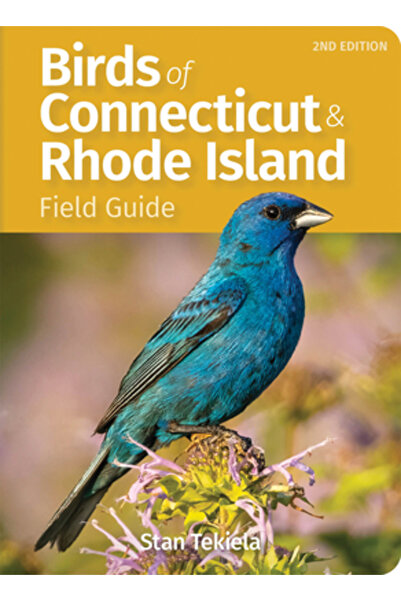Adventurekeen Ghid de teren pentru păsările din Connecticut și Rhode Island