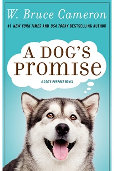 Forge Promisiunea unui câine