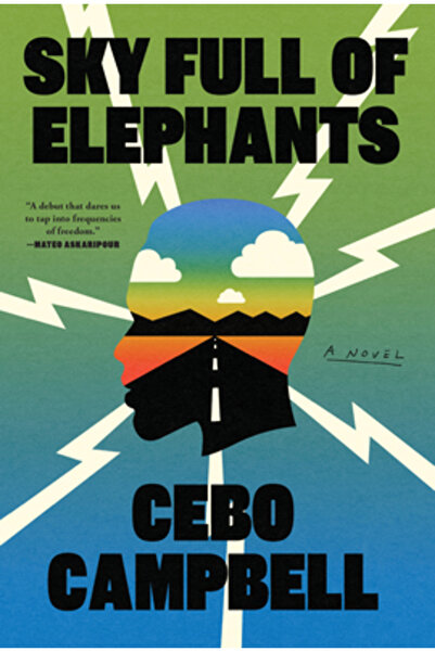 Thorndike Pr Cerul plin de elefanți