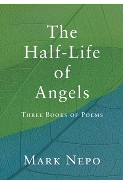 Bookbaby Înjumătățirea vieții îngerilor